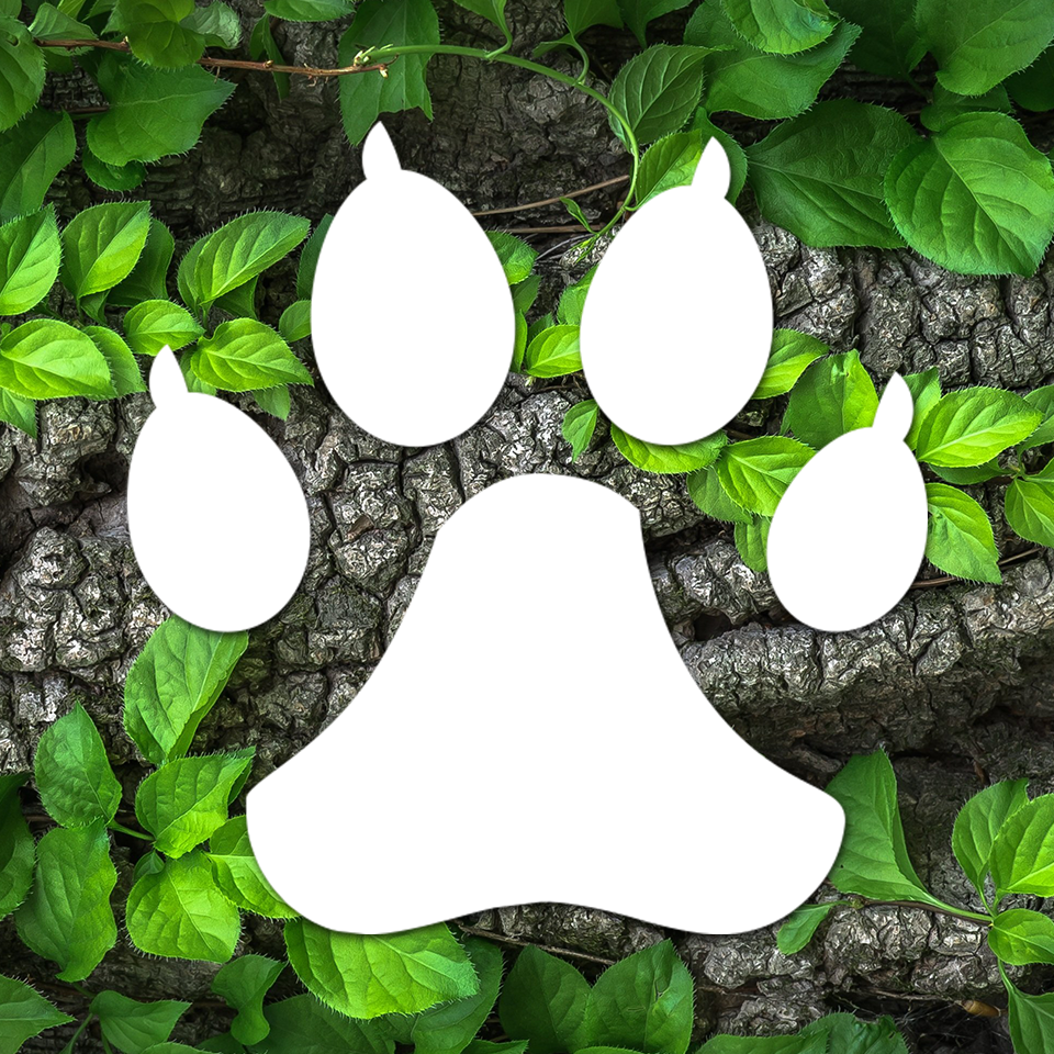 Classification scientifique des especes Zoopedia.life